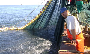 BYLMOORDENAARS SWAAR GESTRAF